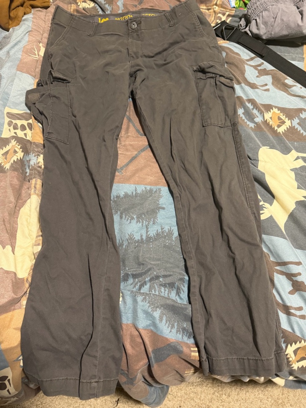 Lee Men's Cargo Pants in Dark Gray
